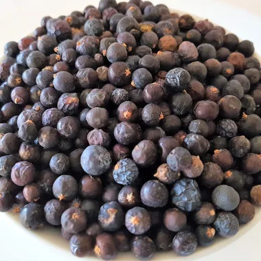 Common Juniper (Juniperus communis L.)