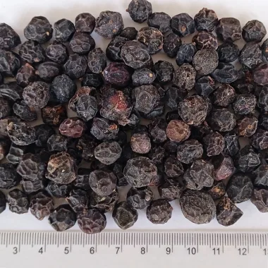 Blackthorn (Sloe, Prunus spinosa L.)