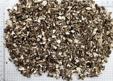 Глухарче (Dandelion, Taraxacum officinale L.)