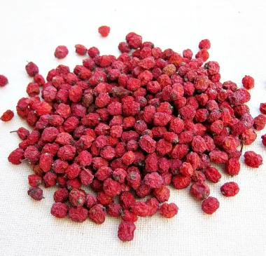Rowanberry / Mountain Ash Fruit (Sorbus aucuparia L.)