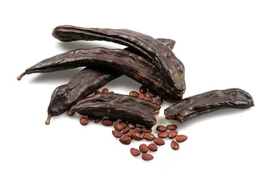 Carob (Ceratonia siliqua L.)