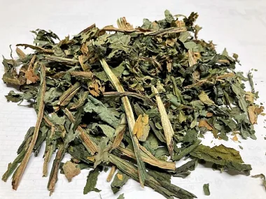 Черен оман (Comfrey, Symphytum officinale L.)