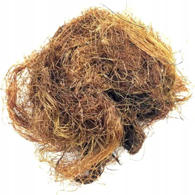 Царевична коса (Corn Silk, Zea mays L.)