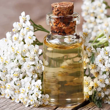 Флорална вода от бял равнец / Yarrow Floral Water (Achillea millefolium)
