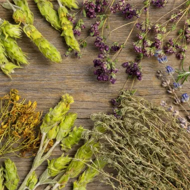 Dried Medicinal Herbs