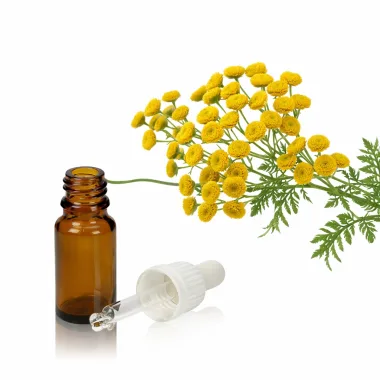 Tansy Essential Oil (Tanacetum vulgare L.)