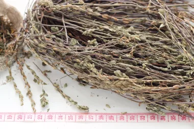 Herbs