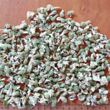 Лечебна ружа (Marshmallow, Althaea officinalis L.) - сушен лист и корен